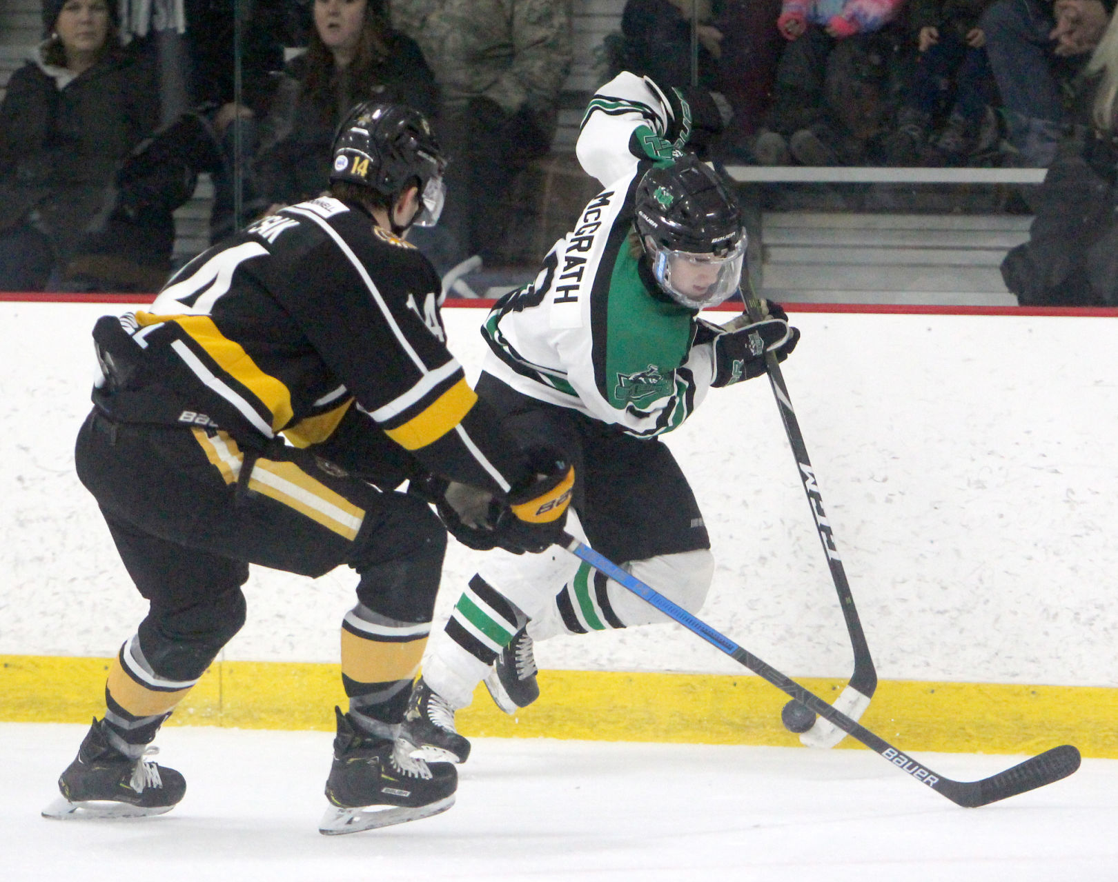 Austin Bruins at Chippewa Steel 1-25-20
